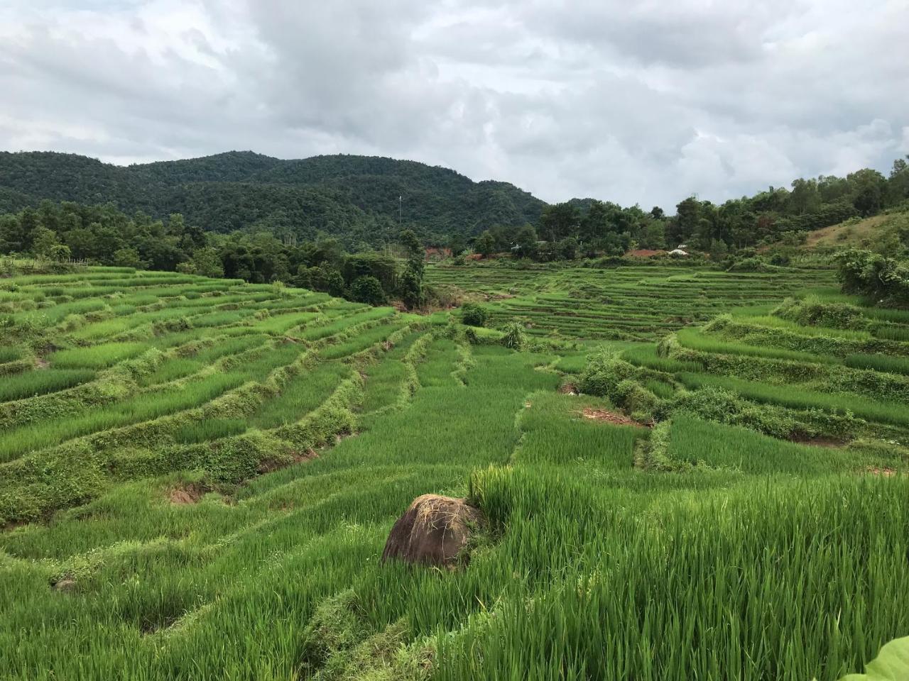 Eco Homestay Mai Châu Exterior photo